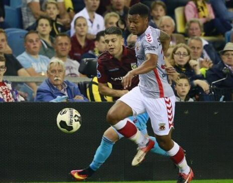 一次被雪打 一次被雪打