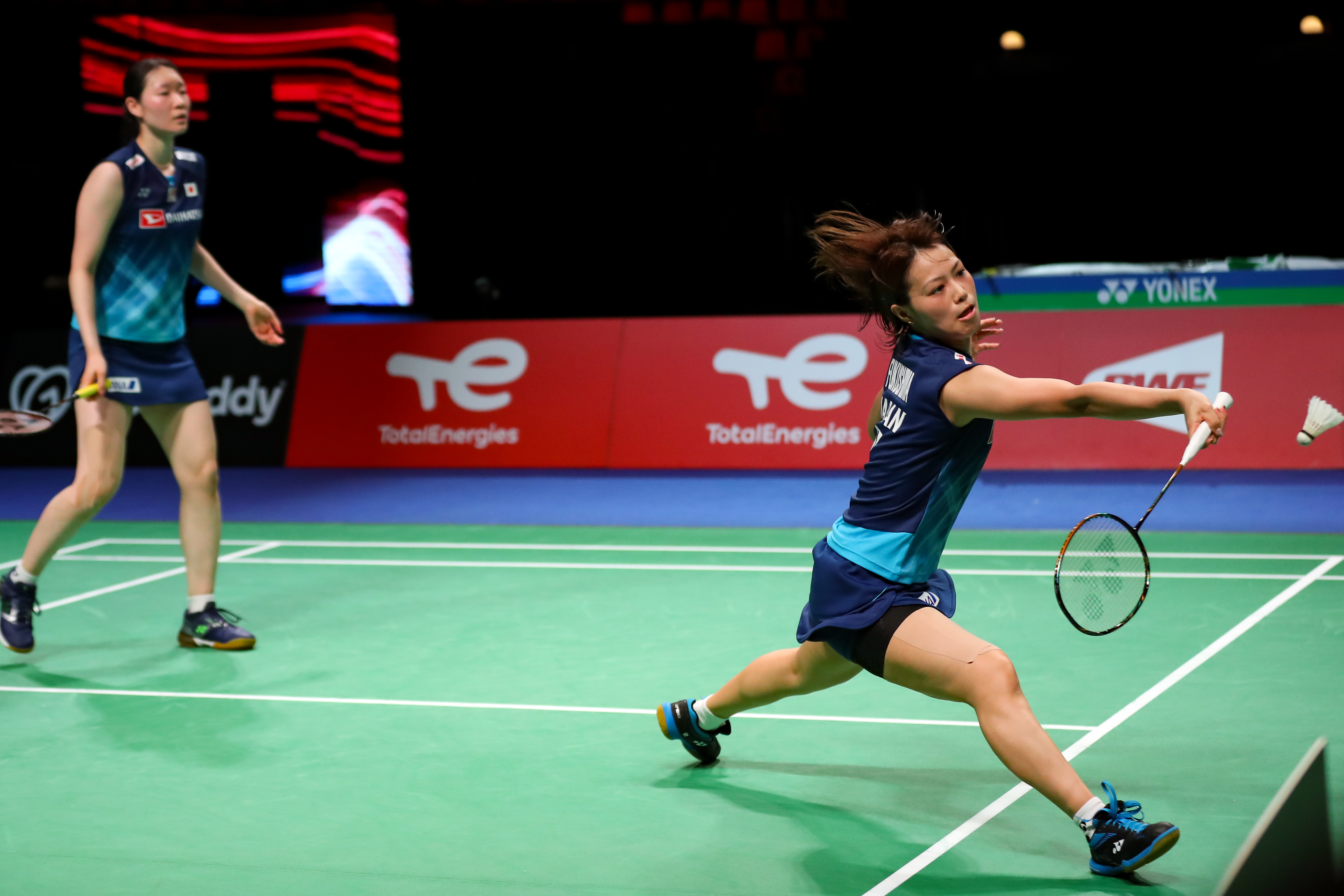 雄鹿暴露出 雄鹿暴露出